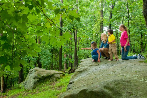 Nature Discovery 1